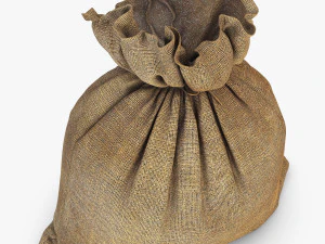 sack v 4 3D Model