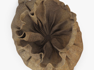 sack v 4 3D Model