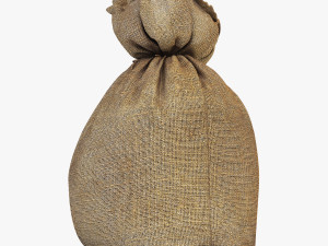 sack v 4 3D Model