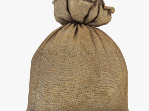 sack v 4 3D Model