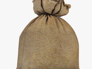 sack v 4 3D Model