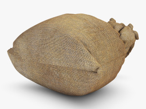 sack v 4 3D Model
