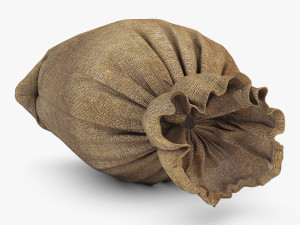 sack v 4 3D Model