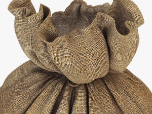 sack v 4 3D Model
