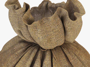 sack v 4 3D Model