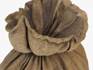 sack v 4 3D Model
