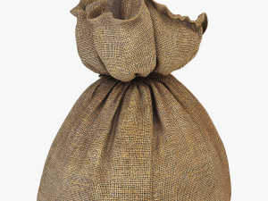 sack v 4 3D Model