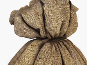 sack v 4 3D Model