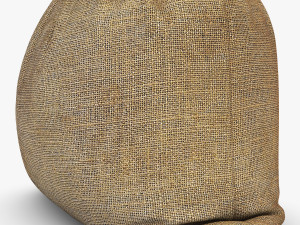 sack v 4 3D Model