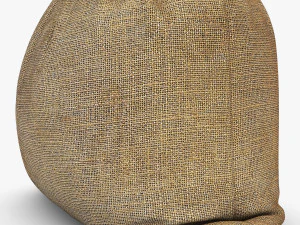 sack v 4 3D Model