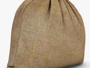 sack v 4 3D Model