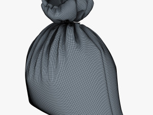 sack v 4 3D Model