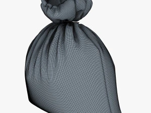sack v 4 3D Model