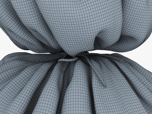 sack v 4 3D Model