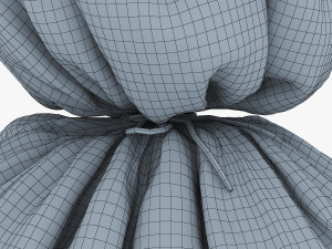 sack v 4 3D Model