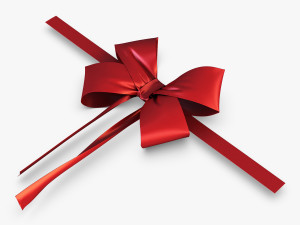 bow v 3 Modelo 3D