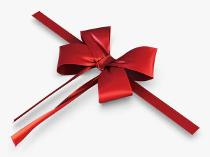 bow v 3 3D Model