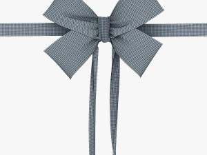 bow v 3 3D Model
