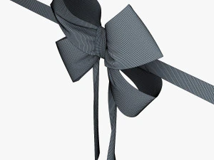 bow v 3 3D Model