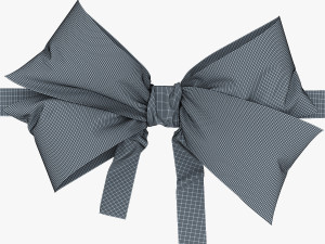 bow v 4 3Dモデル