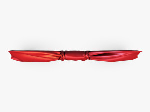 bow tie v 1 3D 모델