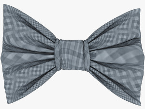 bow tie v 1 3D 모델