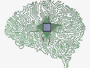 electronic circuit board brain v 1 3D मॉडल