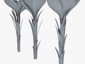 flower crocus violet v 1 3D 模型