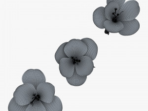flower crocus violet v 1 3D 模型