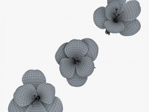 flower crocus violet v 1 3D 模型