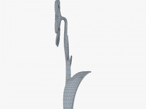 cartoon flower v 1 3D 模型