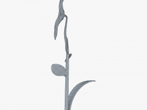 cartoon flower v 2 Modèle 3D