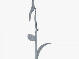 cartoon flower v 2 3D Model