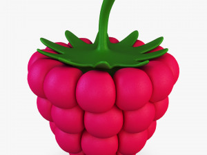 cartoon raspberry v 1 3D Model