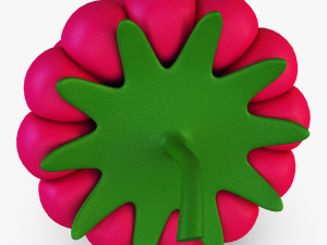 cartoon raspberry v 1 Model 3D