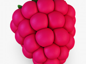 cartoon raspberry v 1 Model 3D