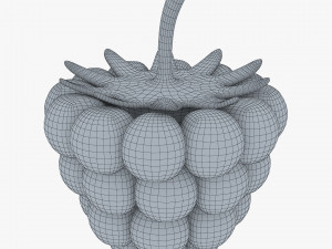 cartoon raspberry v 1 Model 3D