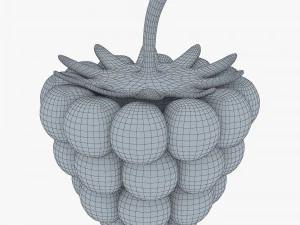 漫画ラズベリー v 1 3Dモデル
