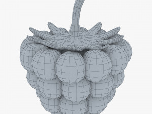 cartoon raspberry v 1 Model 3D