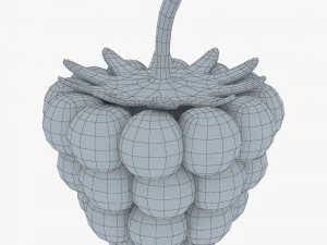 漫画ラズベリー v 1 3Dモデル