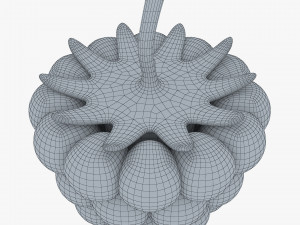 cartoon raspberry v 1 Model 3D