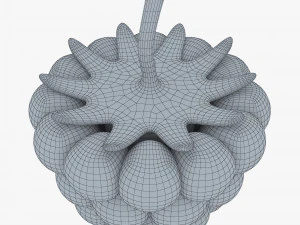 漫画ラズベリー v 1 3Dモデル