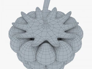 漫画ラズベリー v 1 3Dモデル