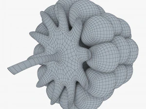 漫画ラズベリー v 1 3Dモデル