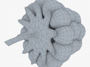 cartoon raspberry v 1 Model 3D