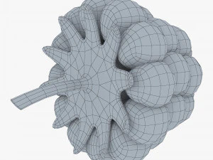 漫画ラズベリー v 1 3Dモデル