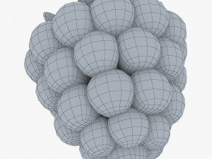 cartoon raspberry v 1 Model 3D
