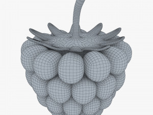 cartoon raspberry v 2 3D Model