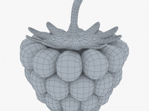 cartoon raspberry v 2 3D Model