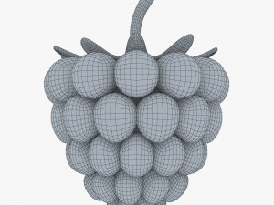 cartoon raspberry v 2 3D Model